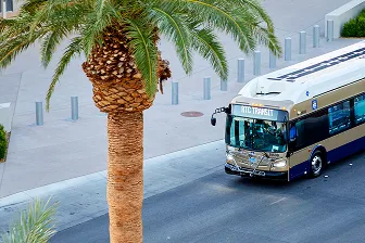 A city bus labeled RTC Tripper drives down a street lined with palm trees, seen from above on a sunny day.